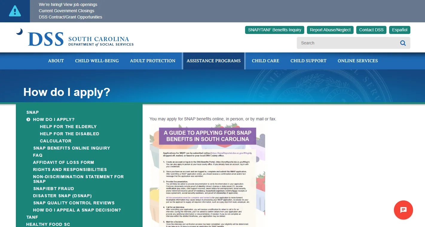 Official South Carolina DSS SNAP application page showing how to apply for food stamps in SC online, in person, by mail or fax